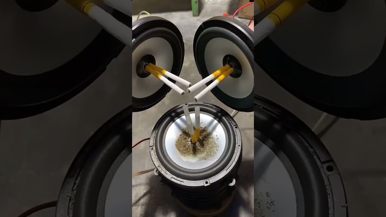 Best Bass Music for Your Car 🚗