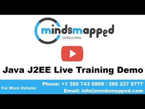 Java & J2EE Programming Intro by MindsMapped