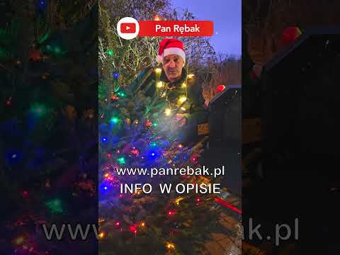 CEDRUS D16 vs Jodła Kaukaska #woodworking #woodchipper  #cedrus d16  #arborist #christmastree