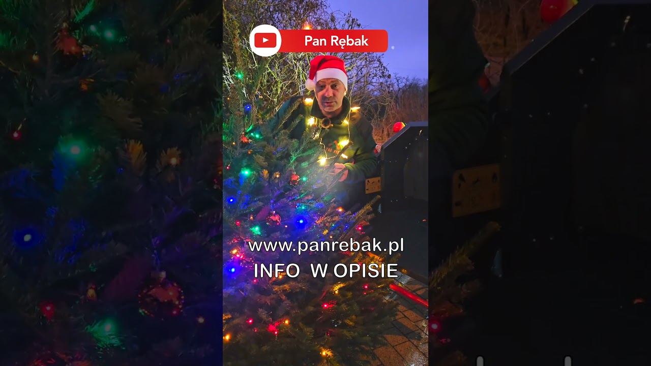 CEDRUS D16 vs Kaukaska Jodła: Which Is the Best Christmas Tree? 🎄