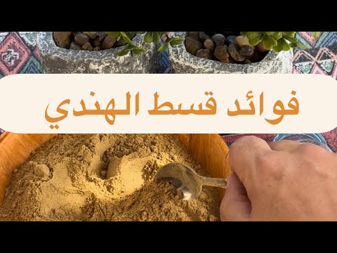 قسط الهندي - فوائد القسط الهندي - قصت هندي - القسط الهندي