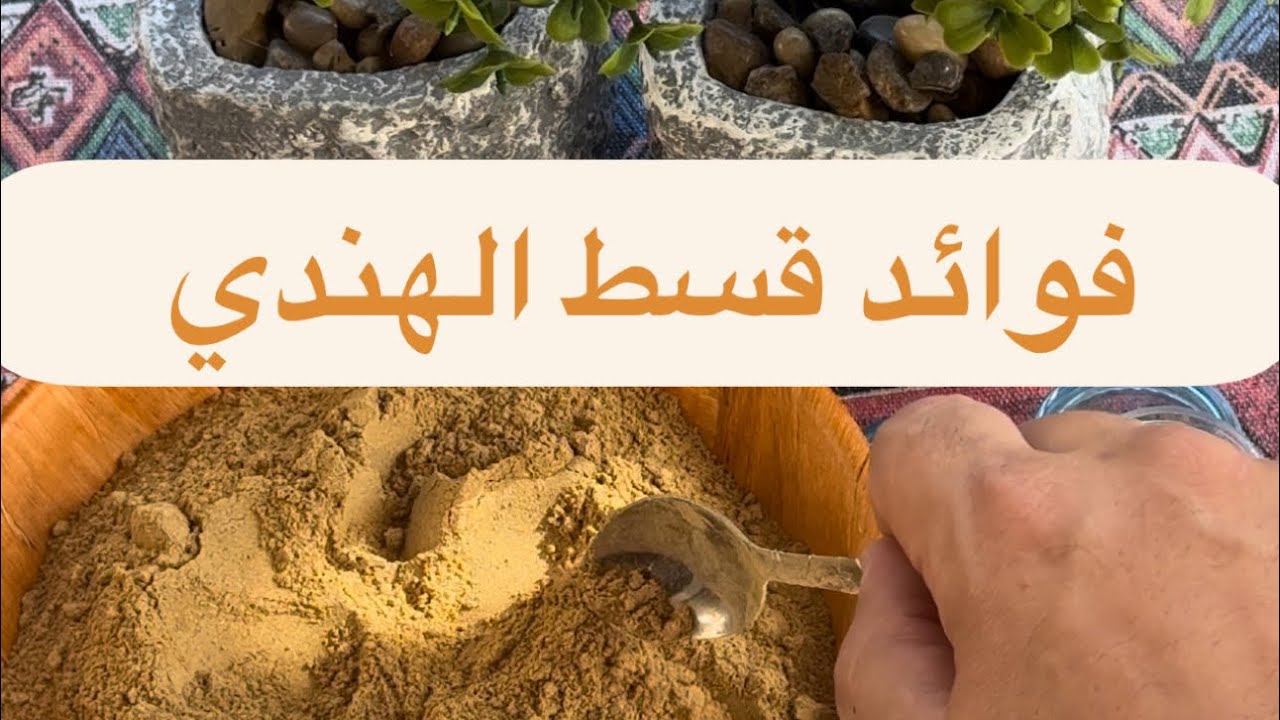 اكتشف فوائد القسط الهندي الصحية وكيفية استخدامه 🌿