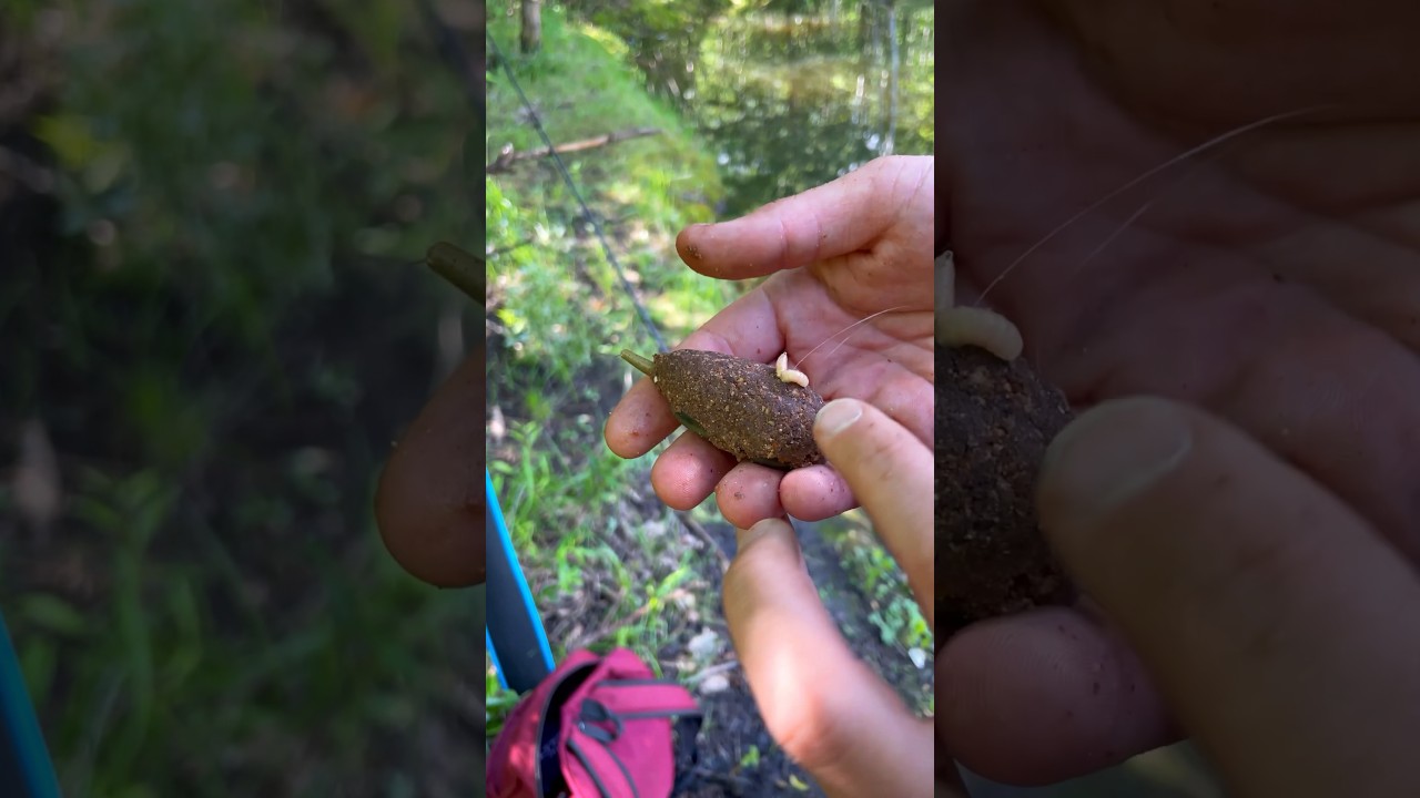 Флэт фидер для карася 🎣