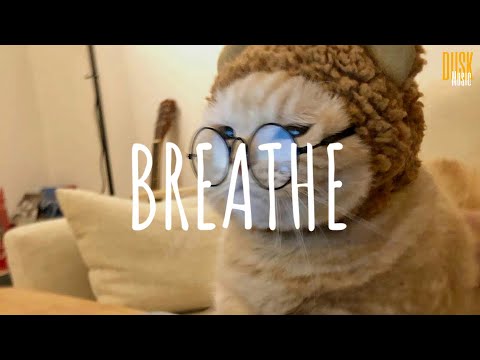 Breathe - DJ Komang Rimex (Vietsub + Lyric)