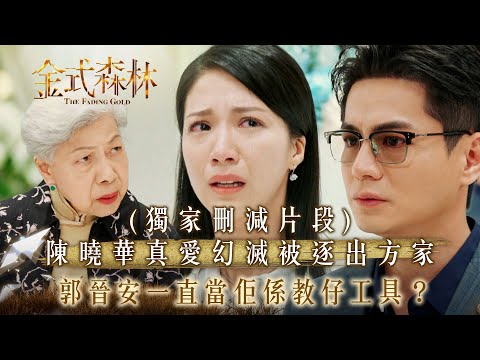金式森林｜（有獨家刪減片段)陳曉華真愛幻滅被逐出方家 郭晉安一直當佢係教仔工具？(繁/簡中字幕)｜第二十二集精華｜TVB劇集｜台慶劇｜港劇｜劇集｜電視劇｜TVB #陳曉華 #羅蘭 #金式森林