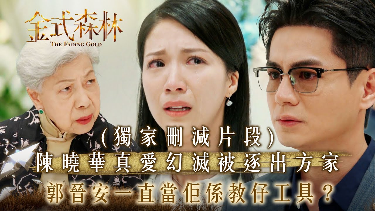 金式森林第22集:陳曉華愛情幻滅被逐出方家,郭晉安成教仔工具?💔