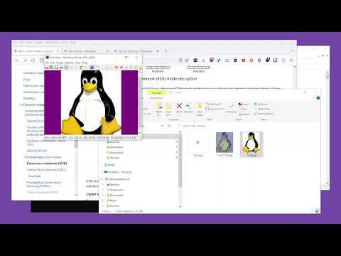 Encrypting Images with ECB