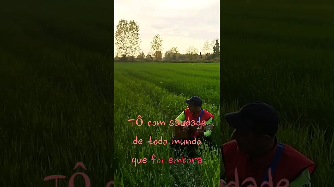 Saudade in MPB & Rock Brasil 🎶