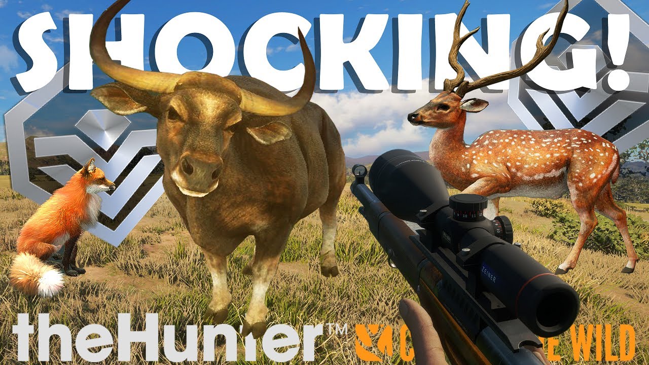 Emerald Coast: A Diamond-Laden Hunting Adventure 💎