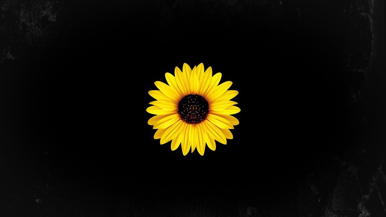 [FREE] Boom Bap Type Beat 'Pulse' | Underground Hip Hop 🎵