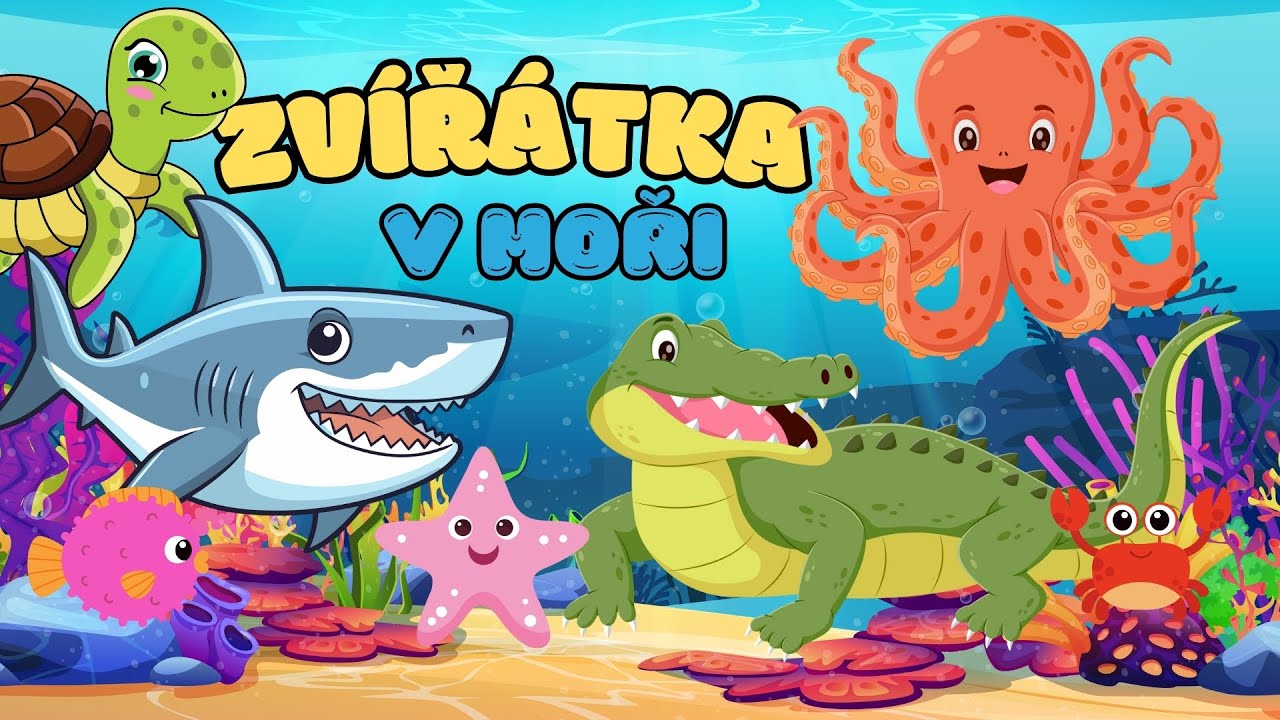 🐬 ZVÍŘÁTKA V MOŘI - Hádáme stíny zvířat | Zábavné vzdělávací video pro děti o zvířatech 🐳