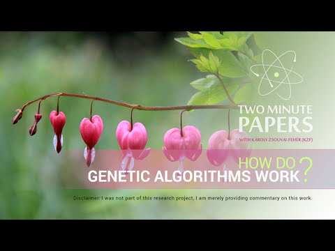 How Genetic Algorithms Work | Two Minute Papers 🧬