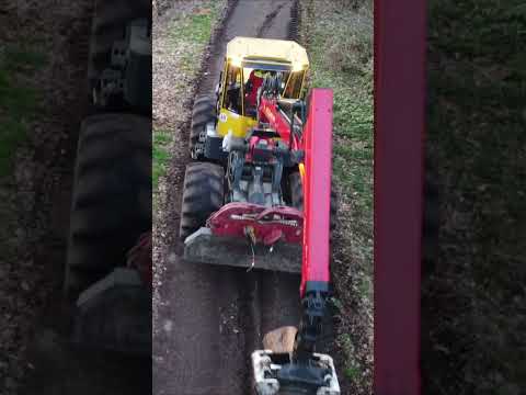 This Is How We Roll 🌲🌳 #forsttechnik #forstwirtschaft #chainsaw #stihl