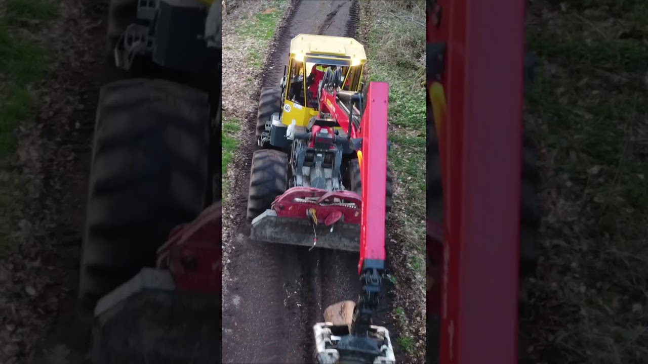 Mastering Forest Operations: Our Expert Chainsaw Skills 🌲