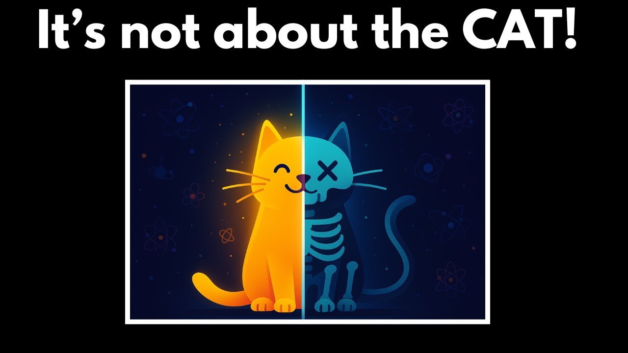 Understanding Schrödinger's Cat 🐱