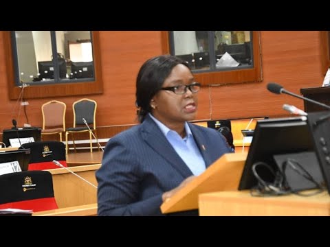 PARLIAMENT OF MALAWI 10th NOVEMBER, 2025| SESSION 2 LIVE TODAY