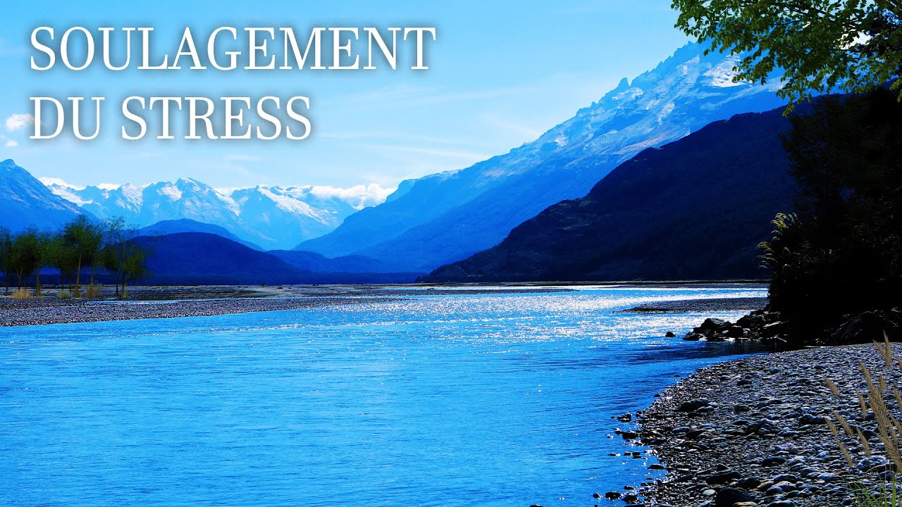 Musique Relaxante pour Équilibre Émotionnel 🎶