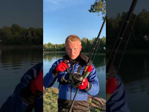 Крупный живец крупная щука!! #рыбалка #щука #щуканаживца