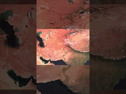 The REAL Story of Lone Survivor...