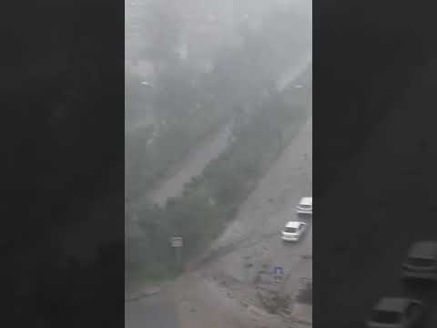 Чита продолжает тонуть