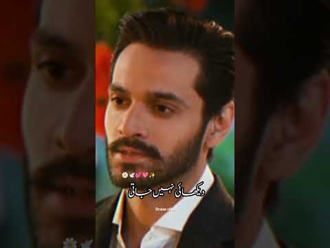 Meerab and Murtazim's Romantic Dinner || #shorts #youtubeshorts #terebin