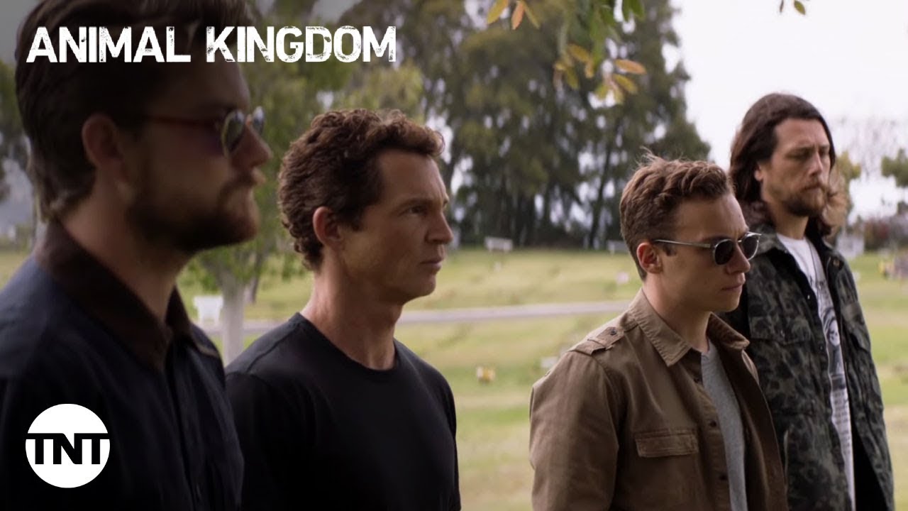 Animal Kingdom Seasons 1-4 Recap | TNT