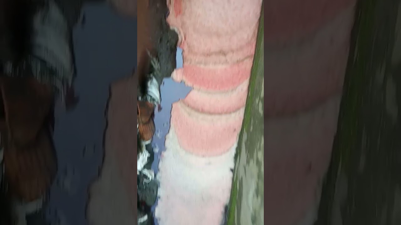 Cerita Menarik Setelah 5 Like π