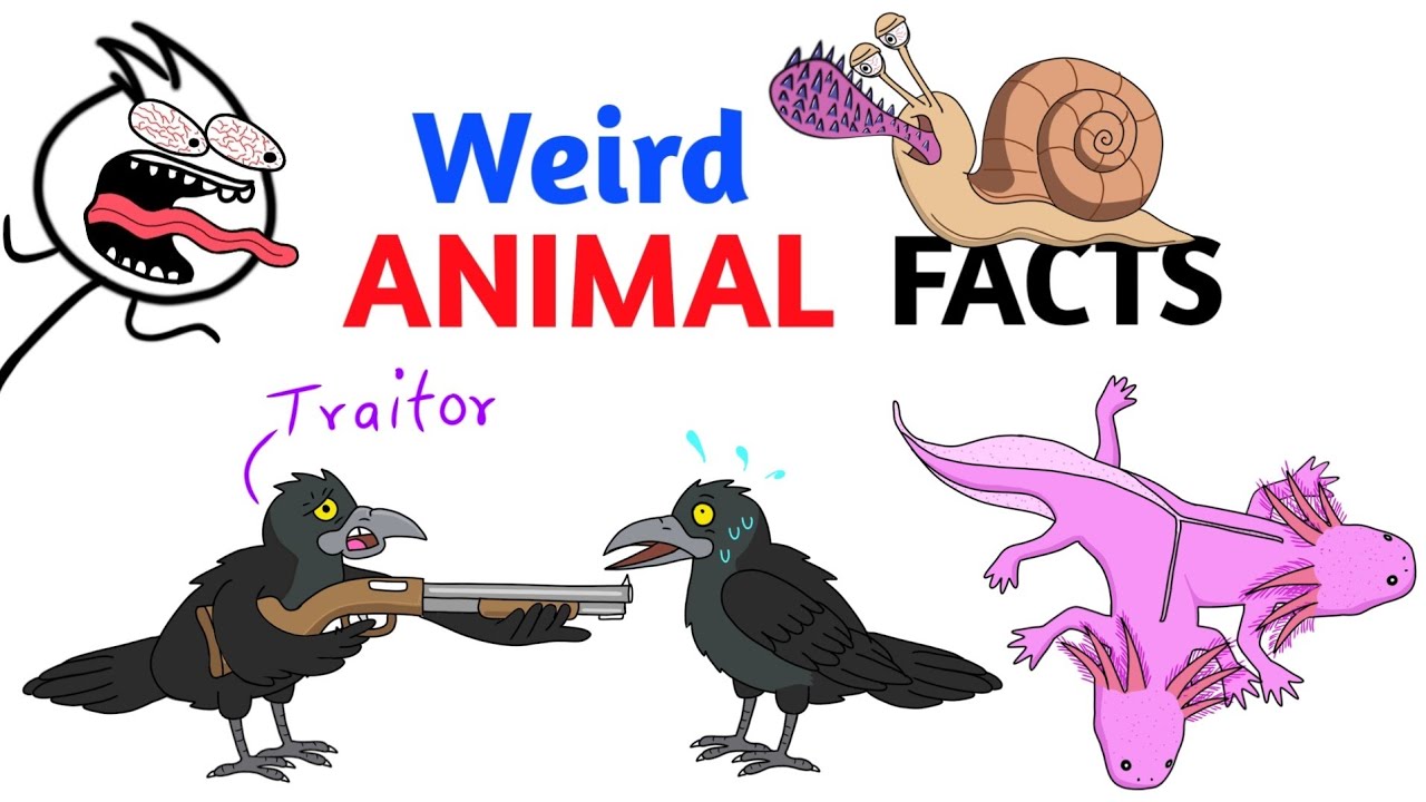 Strange Animal Facts You Never Knew 🐾