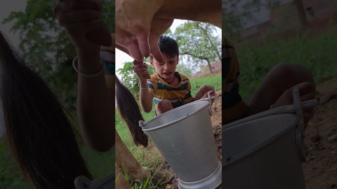 Choti Choti Gaiya 🎶 - Fun & Loving Song to Brighten Your Day