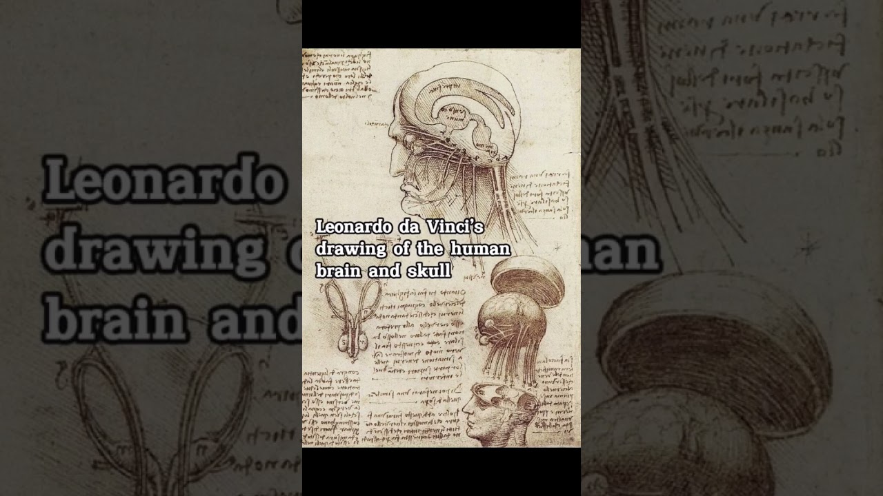 Unlocking Leonardo da Vinci's Genius 🧠