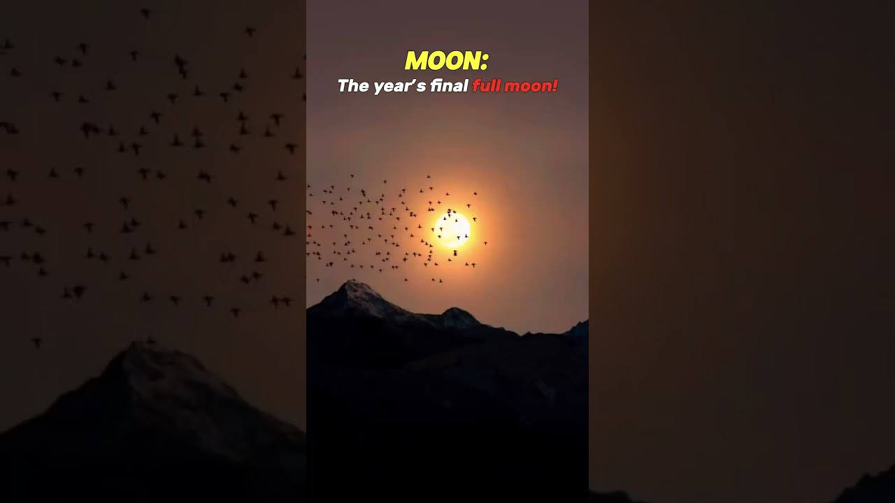 Super Cold Moon Approaching 🌕