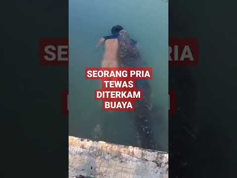 TEWAS DITERKAM BUAYA DIPINGGIR SUNGAI!!!