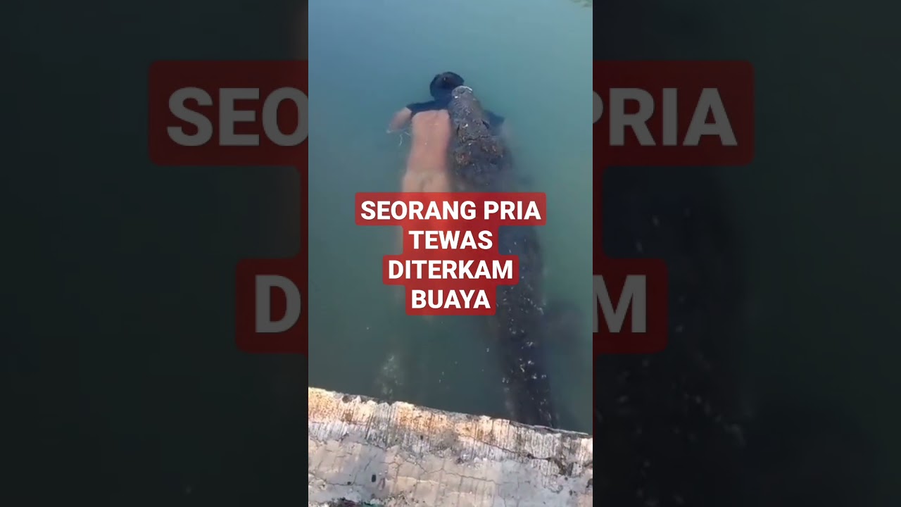 Seram! Buaya Diterkam Saat Memancing di Sungai Kalimantan ๐