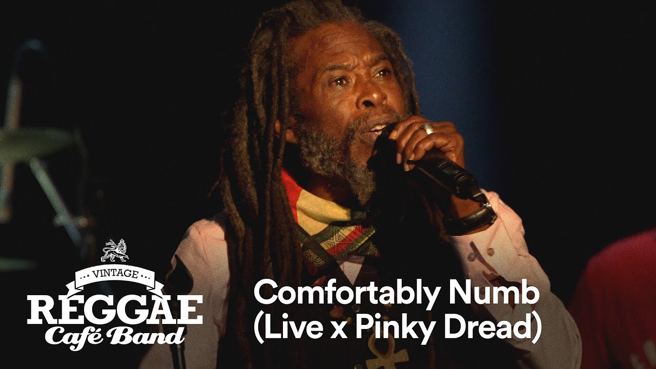 Vintage Reggae Café Band Live - Comfortably Numb 🎶