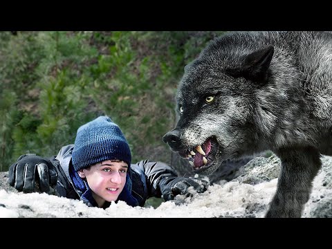 Le Piège des Loups | Film Complet en Français | Action, Thriller