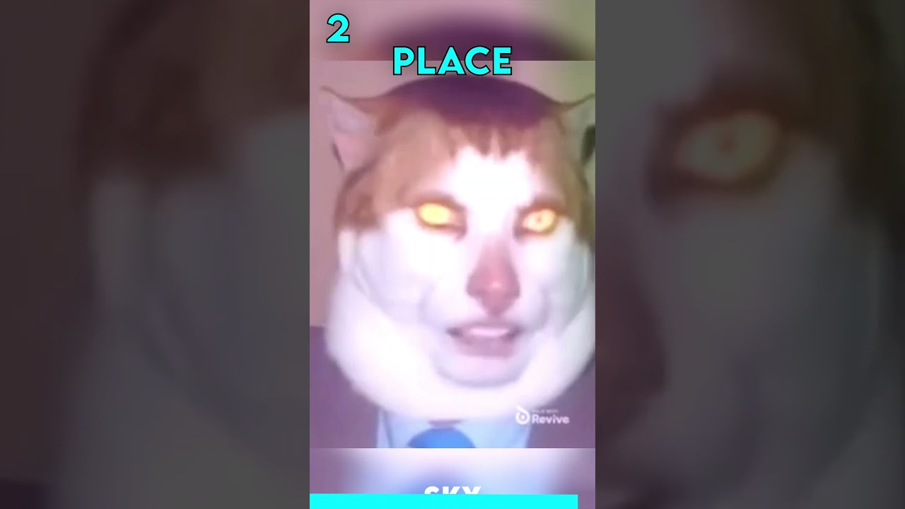 Top 5 Memes of 2023 😲