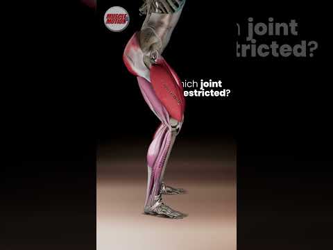 Test Your Movement Analysis Skills! 💥