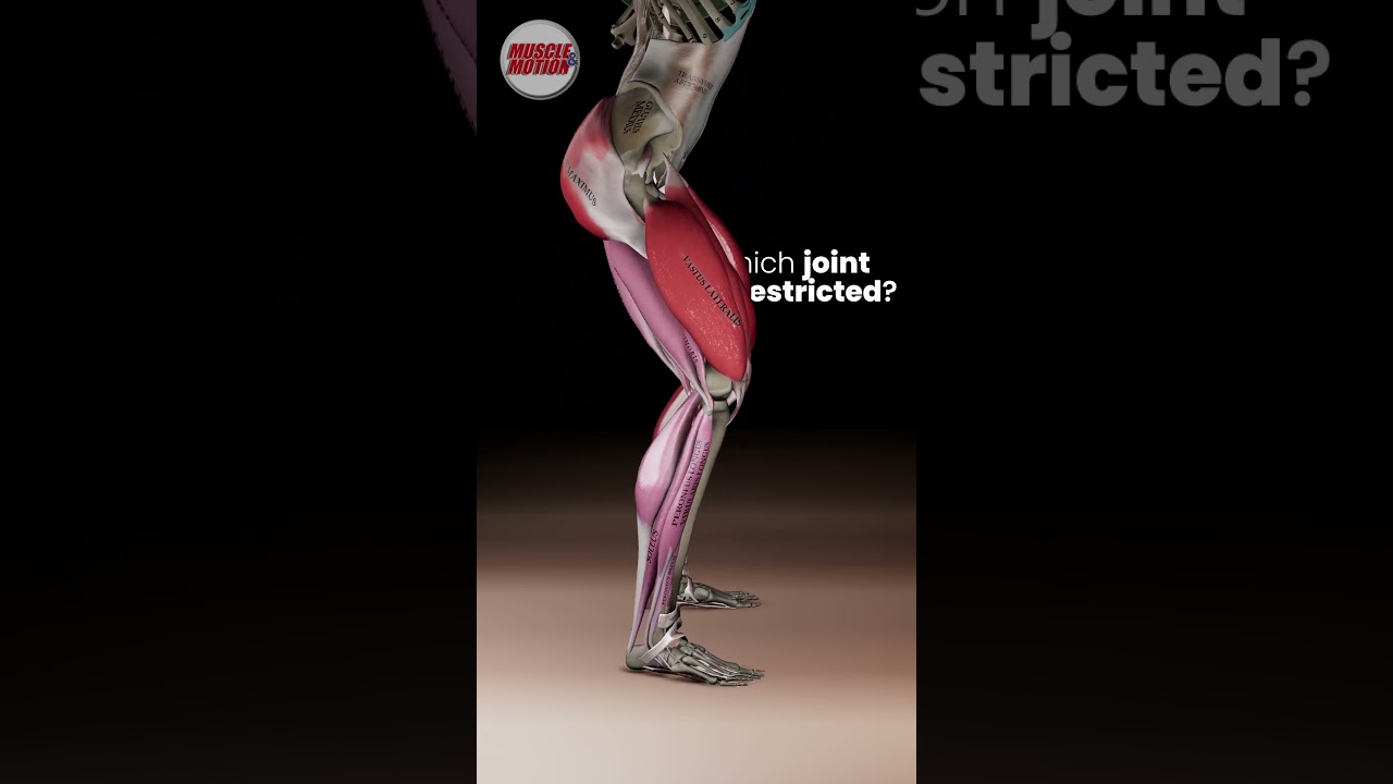 Evaluate Your Movement Analysis Skills