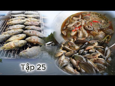 cuộc sống " Săn B.ắt Mùa Nước Nổi " năm 2025 - Tập 25 | Gấc Quê