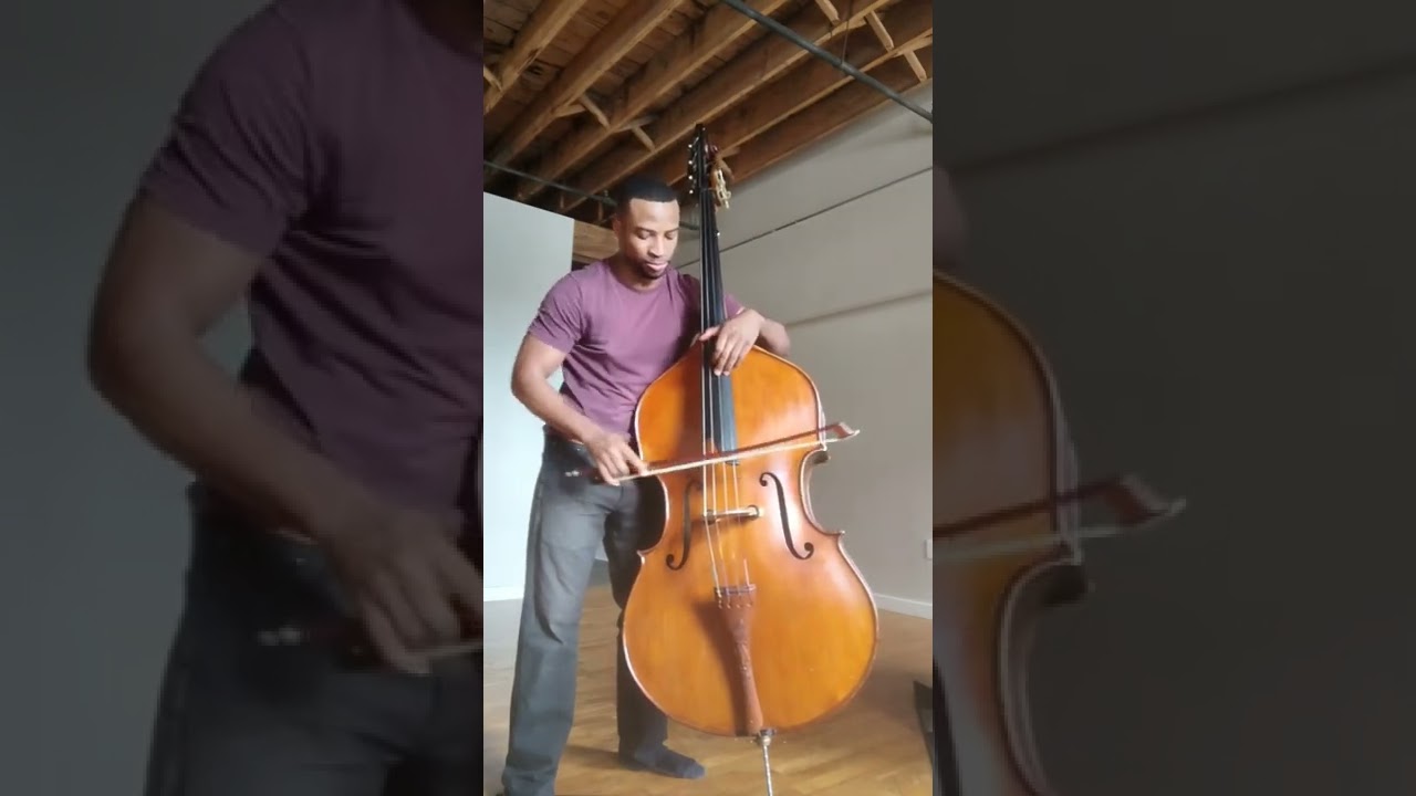 Solo Bass Concept 🎸