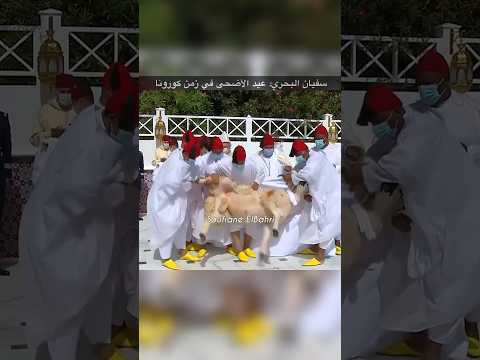 سفيان البحري: عيد الأضحى بالقصر الملكي في زمن كورونا 🇲🇦
