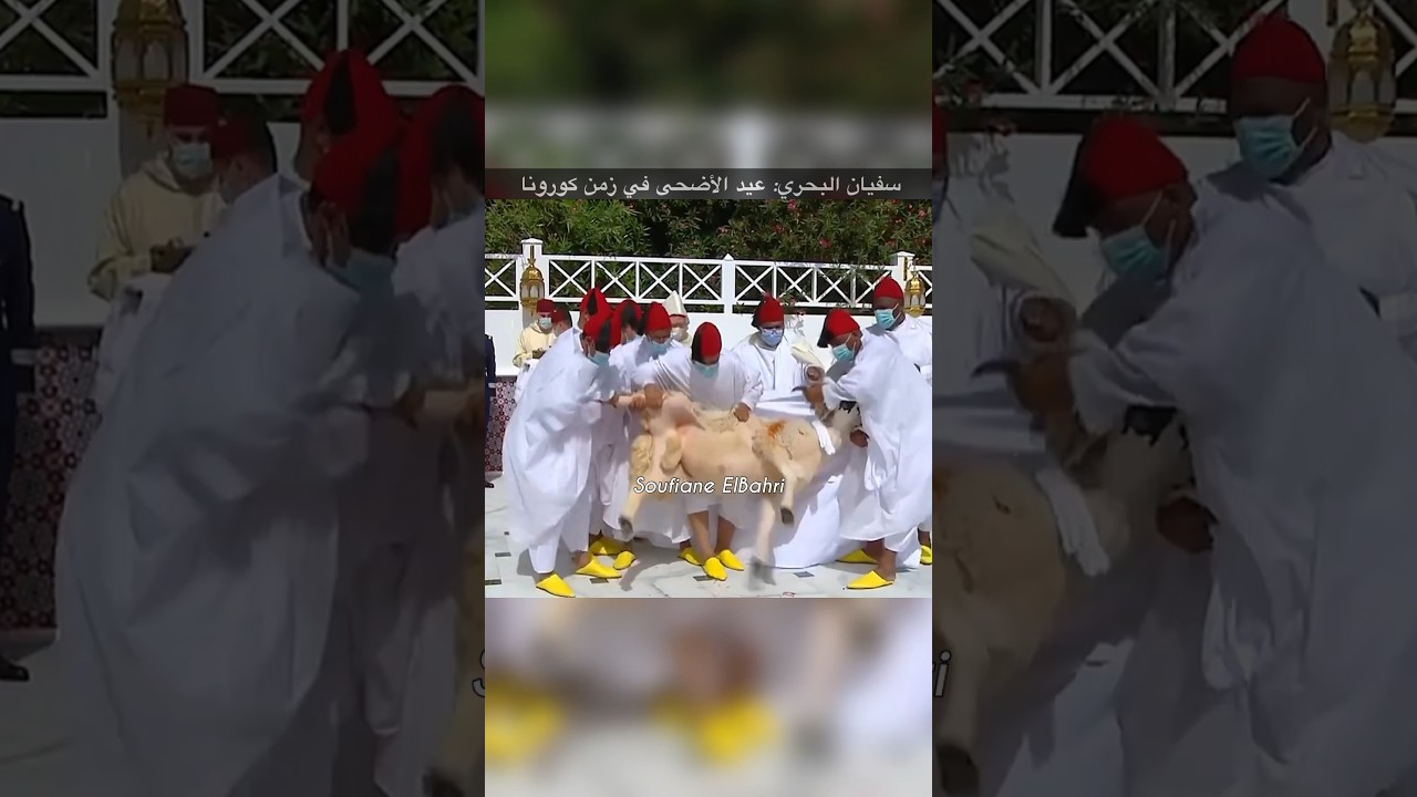 سفيان البحري يشارك في احتفالات عيد الأضحى بالقصر الملكي خلال زمن كورونا 🇲🇦