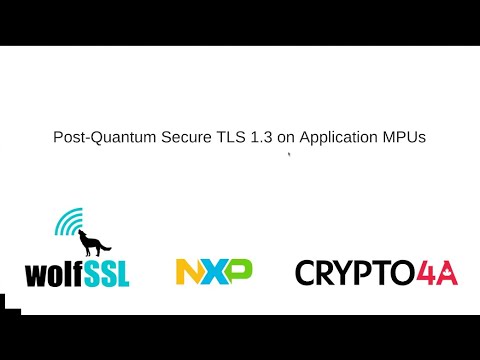 Post Quantum Secure TLS 1.3 on Application MPUs