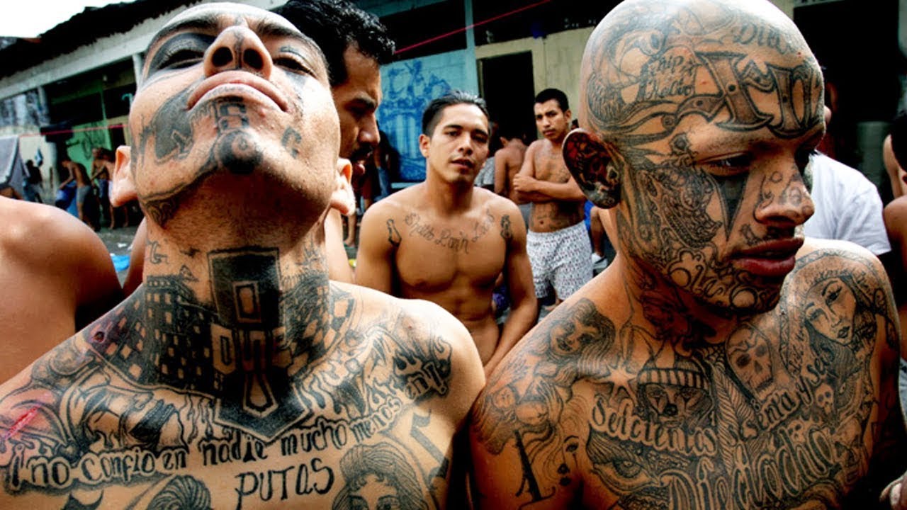 Descubra a Gangue Mais Perigosa do Mundo: Mara Salvatrucha (MS-13) ⚠️