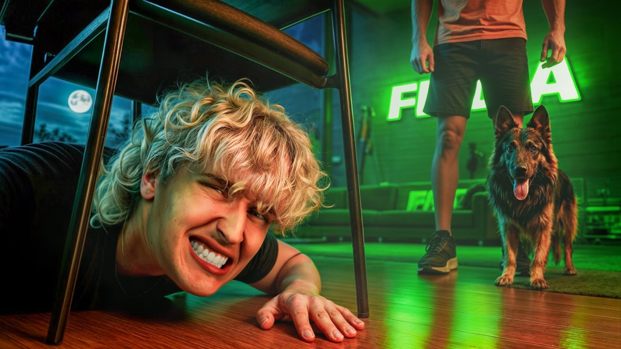 Wielki Chowany Przed Psami 🐶 – Codzienny Film o 17:30!