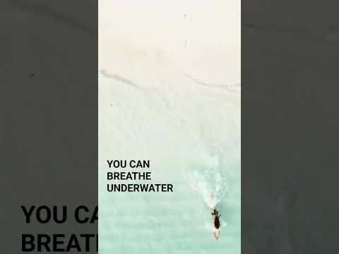 Swiss Family Robinson vibes #yafantasybooks #historicalfantasy #yabooks #magicalrealms #debutnovel