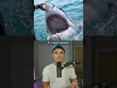 How to Survive Animal Attacks