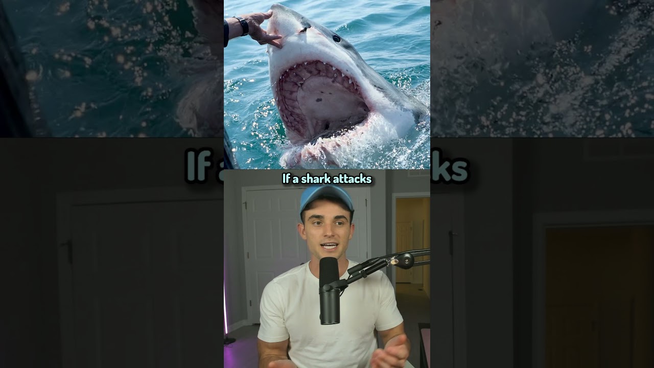 How to Survive Animal Attacks