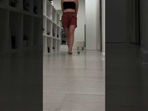 Why you should own a pet weasel 😂