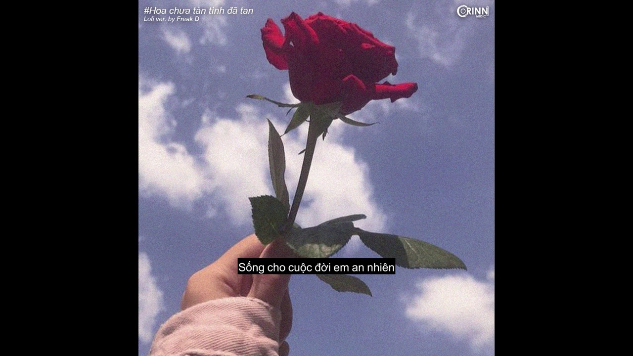 Hoa Chưa Tàn Tình Đã Tan (Lofi Ver.) - NB3 Hoài Bảo x Freak D 🎶